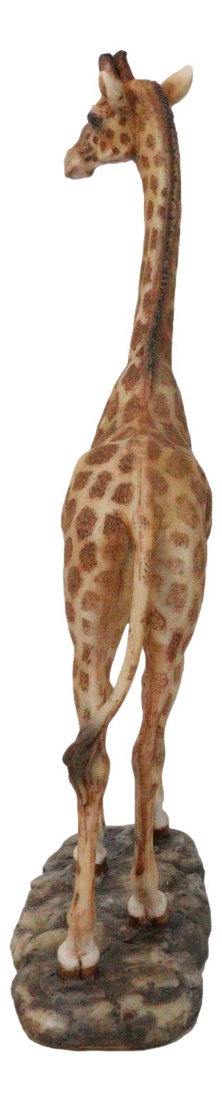 Ebros Gift Nature Wildlife Realistic Safari Savannah Masai Giraffe Standing Figurine