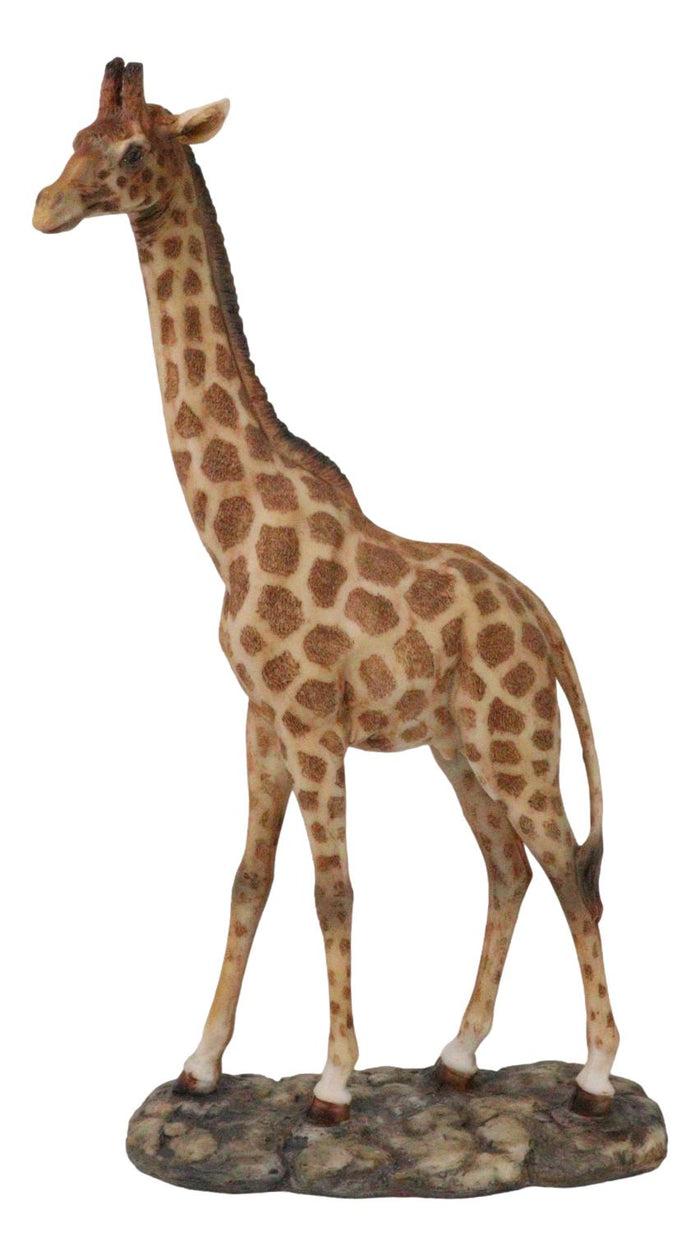 ebros gift Nature Wildlife Realistic Safari Savannah Masai Giraffe Standing Figurine