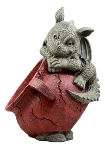 Ebros Gift Naughty Climbing Dragon Baby Planter Pot Home Patio Garden Decor Statue 13"H