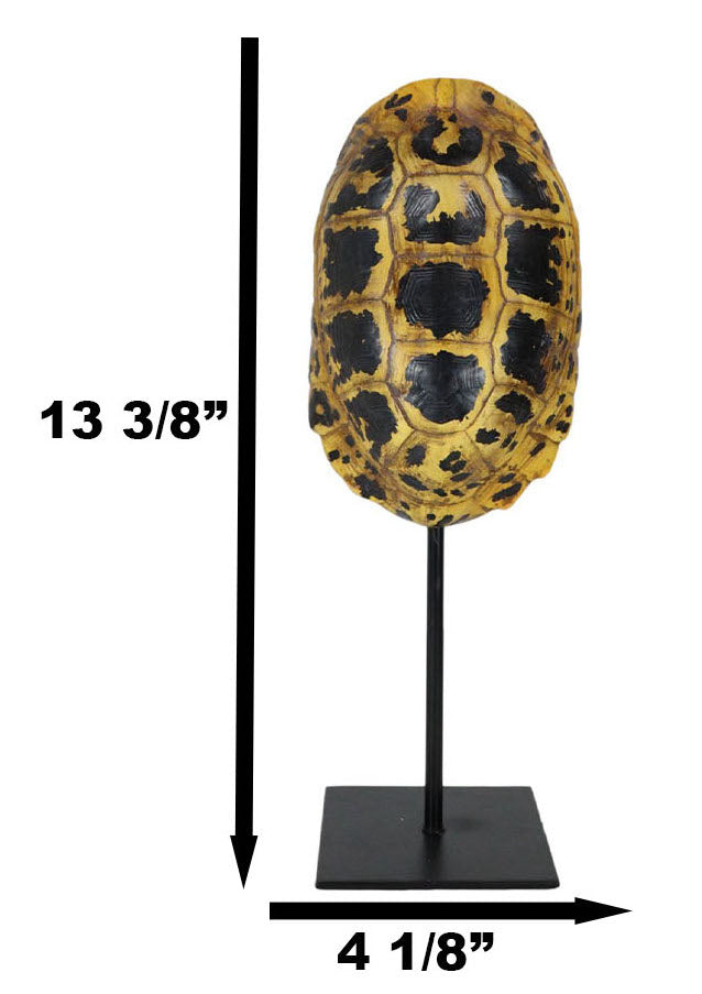 Ebros Gift Nautical Reptile Yellow Elongated Tortoise Shell Sculpture On Museum Art Stand