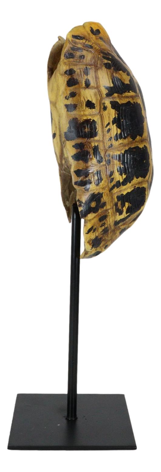Ebros Gift Nautical Reptile Yellow Elongated Tortoise Shell Sculpture On Museum Art Stand