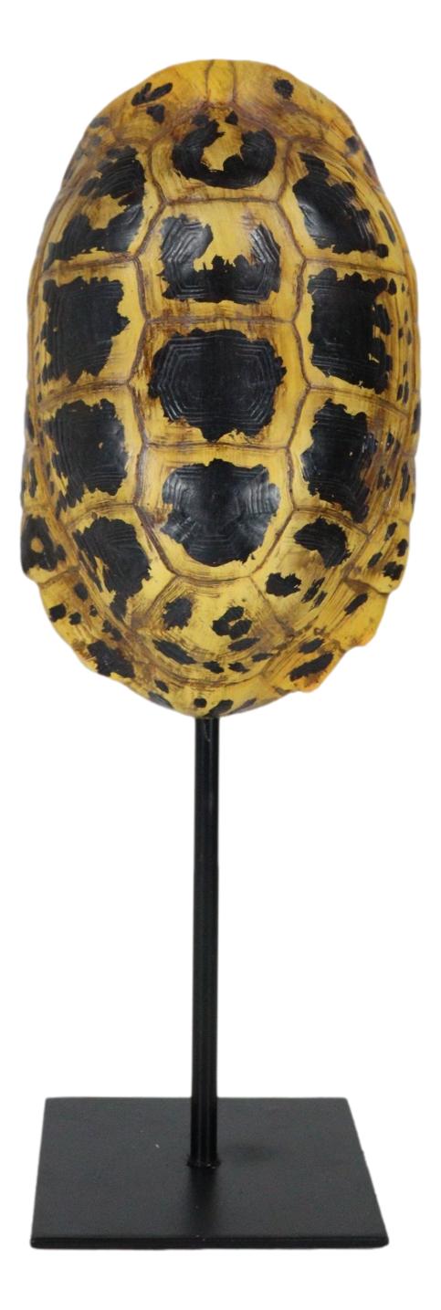 Ebros Gift Nautical Reptile Yellow Elongated Tortoise Shell Sculpture On Museum Art Stand