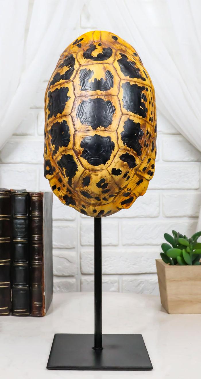 ebros gift Nautical Reptile Yellow Elongated Tortoise Shell Sculpture On Museum Art Stand