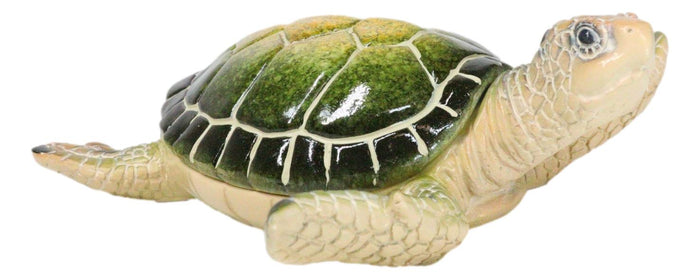 Ebros Gift Ocean Marine Green Sea Turtle Decorative Key Stash Decorative Trinket Box