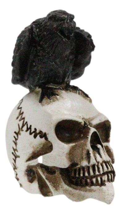 Ebros Gift Ossuary Macabre Harbinger Of Doom Black Raven Crow Bird On Skull Mini Figurine