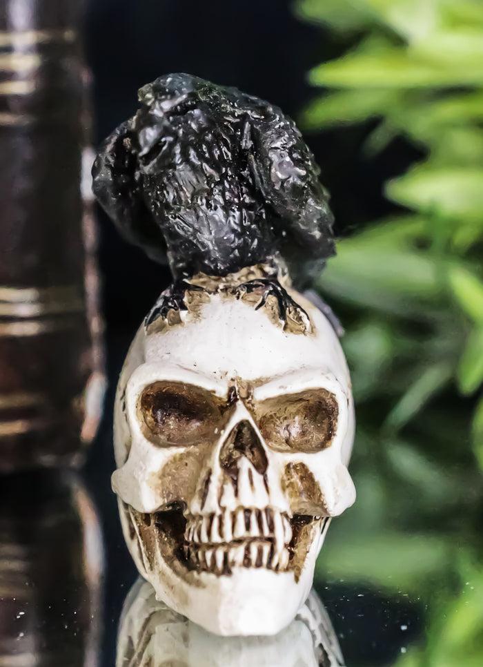 ebros gift Ossuary Macabre Harbinger Of Doom Black Raven Crow Bird On Skull Mini Figurine