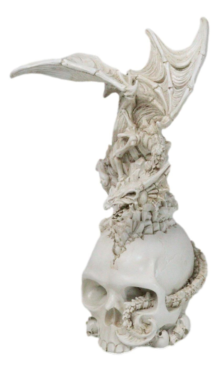 Ebros Gift Ossuary Macabre Skeleton Bone Dragon Perching On Gothic White Skull Figurine