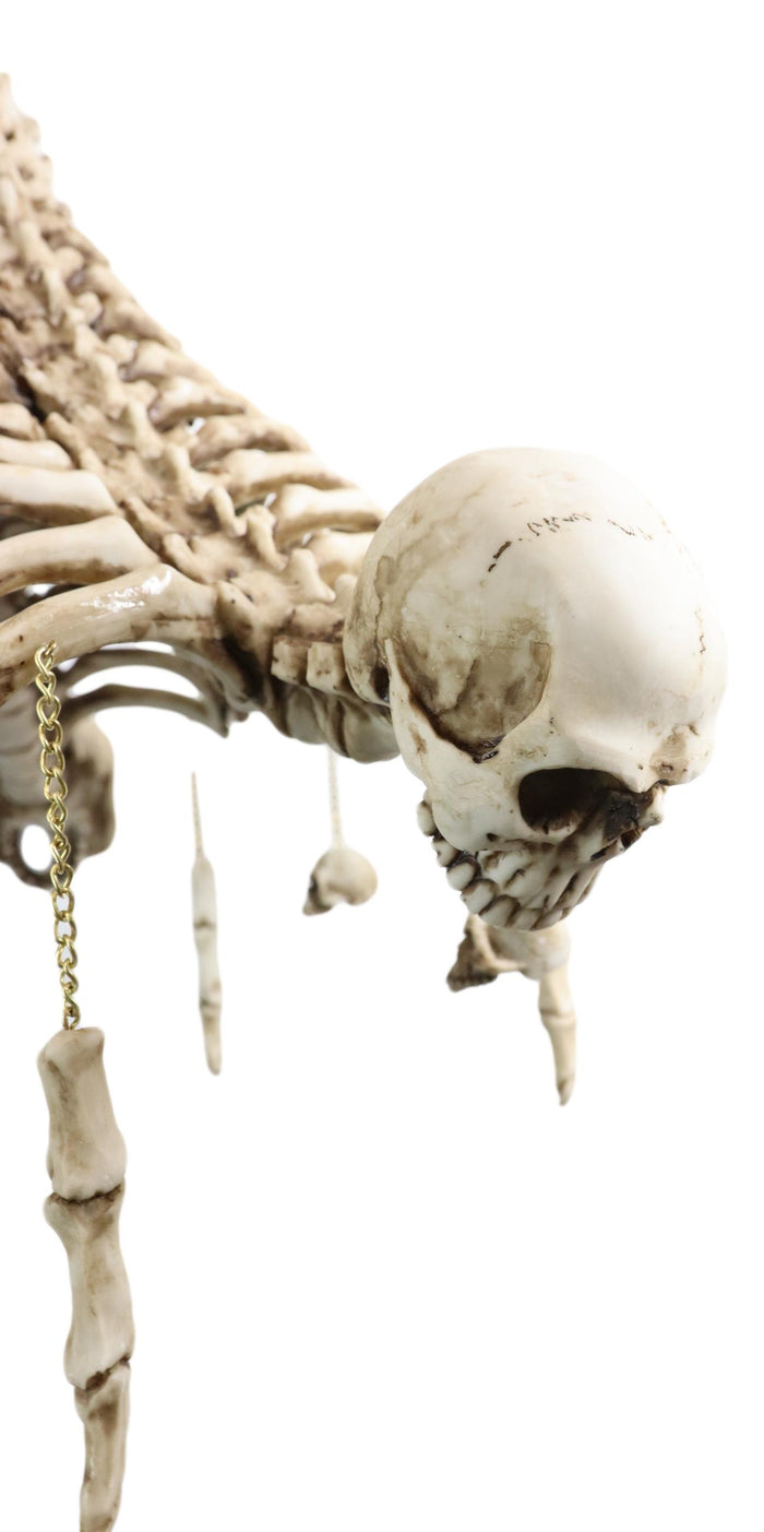 Ebros Gift Ossuary Skulls Bones And Spines Pentagonal Ceiling Chandelier Light Lamp 20"H