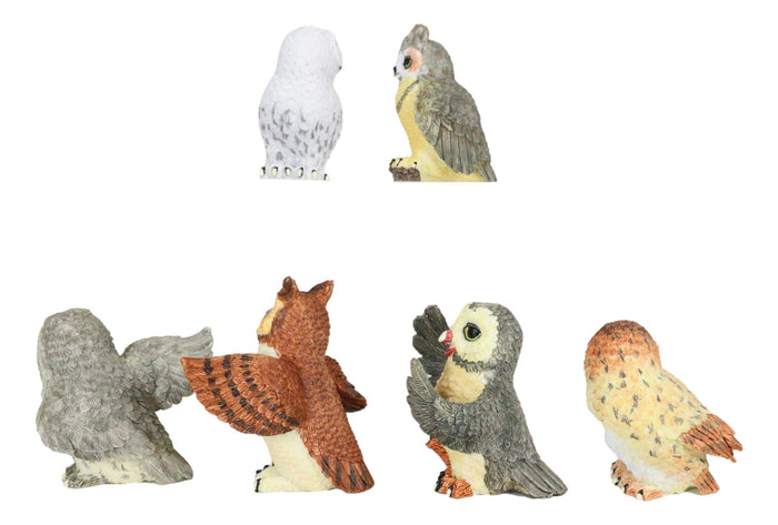 Ebros Gift Owls Of The World Colorful Nocturnal Birds In Multiple Poses Mini Figurine Set
