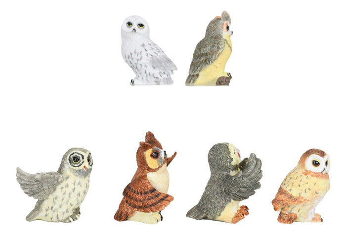 Ebros Gift Owls Of The World Colorful Nocturnal Birds In Multiple Poses Mini Figurine Set