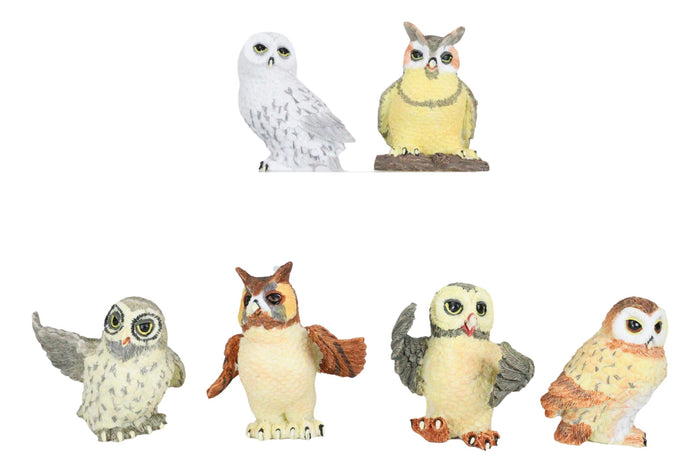 Ebros Gift Owls Of The World Colorful Nocturnal Birds In Multiple Poses Mini Figurine Set