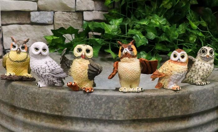 ebros gift Owls of The World Colorful Nocturnal Birds In Multiple Poses Mini Figurine Set