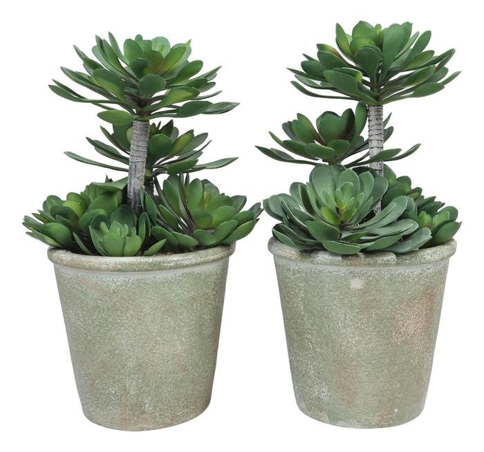 Ebros Gift Pack Of 2 Lifelike Artificial Zwartkop Succulent Blooms Botanicas In Earth Pots
