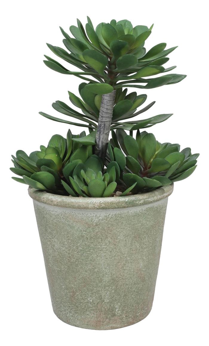 Ebros Gift Pack Of 2 Lifelike Artificial Zwartkop Succulent Blooms Botanicas In Earth Pots