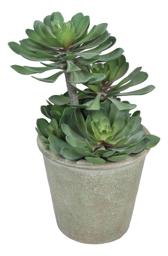 Ebros Gift Pack Of 2 Lifelike Artificial Zwartkop Succulent Blooms Botanicas In Earth Pots
