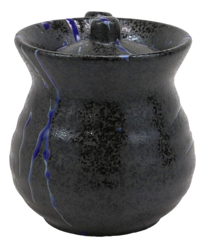 Ebros Gift Pack Of 2 Speckled Black Blue Japanese Tenmoku Porcelain Soy Sauce Dispensers