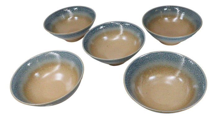 Ebros Gift Pack Of 5 Blue River Ao Nagashi Collection Large Ramen Soup Dinner Bowl 40oz