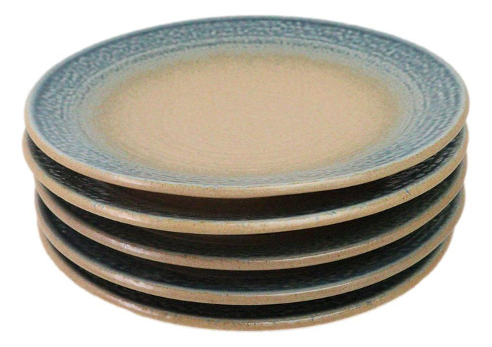 Ebros Gift Pack Of 5 Blue River Ao Nagashi Collection Large Round Dinner Plates 10" D
