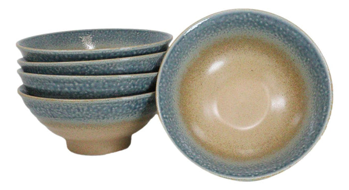 ebros gift Pack Of 5 Blue River Ao Nagashi Collection Large Ramen Soup Dinner Bowl 40oz