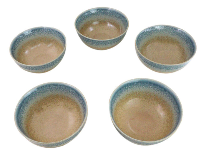 Ebros Gift Pack Of 5 Blue River Ao Nagashi Medium Soup Salad Rice Donburi Poke Bowls 24oz