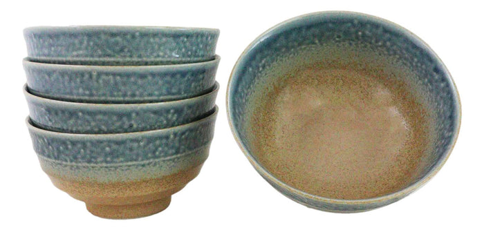 ebros gift Pack Of 5 Blue River Ao Nagashi Medium Soup Salad Rice Donburi Poke Bowls 24oz