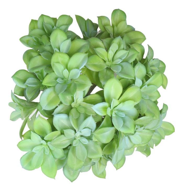 Ebros Gift Pack Of 6 Lifelike Artificial Kiwi Desert Plant Succulents Stem Botanica 8"H