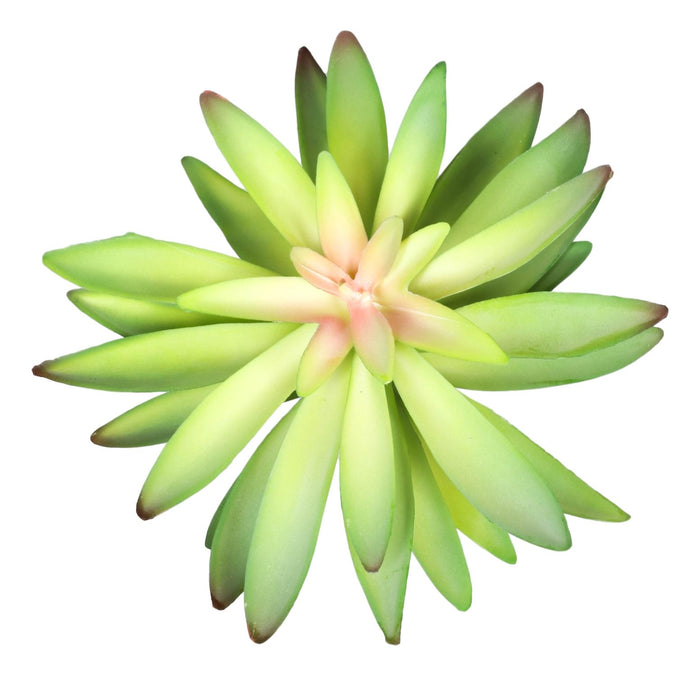 Ebros Gift Pack Of 6 Realistic Artificial Flower Green Cactus Succulent Stem Botanicas