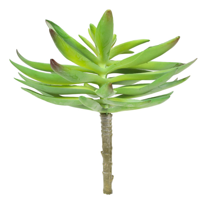 Ebros Gift Pack Of 6 Realistic Artificial Flower Green Cactus Succulent Stem Botanicas