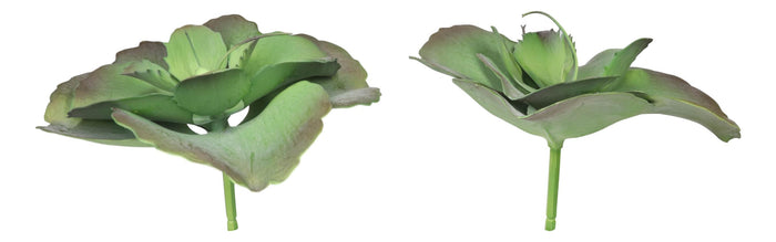 Ebros Gift Pack Of 6 Realistic Lifelike Artificial Lilacina Paddle Desert Plant Succulents