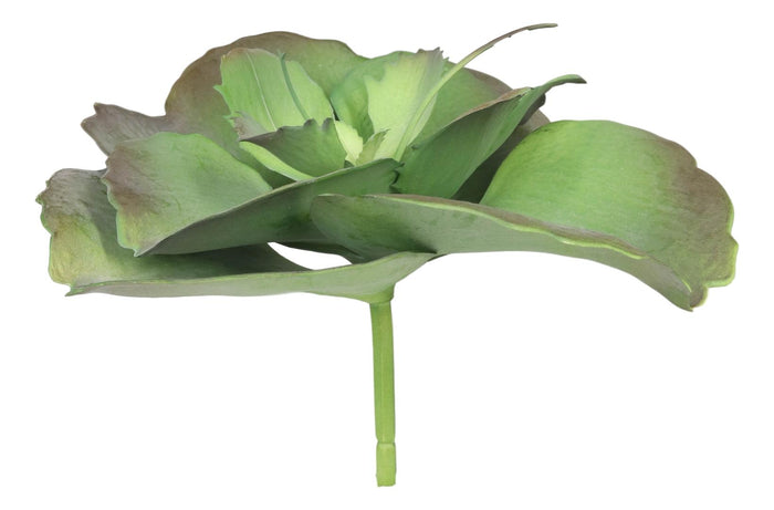 Ebros Gift Pack Of 6 Realistic Lifelike Artificial Lilacina Paddle Desert Plant Succulents