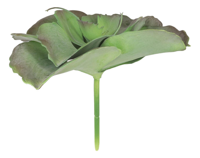 Ebros Gift Pack Of 6 Realistic Lifelike Artificial Lilacina Paddle Desert Plant Succulents