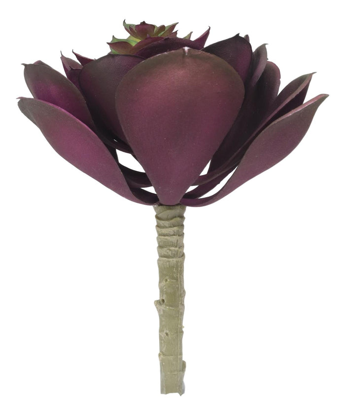 Ebros Gift Pack Of 6 Realistic Lifelike Artificial Zwartkop Succulent Stem Botanicas