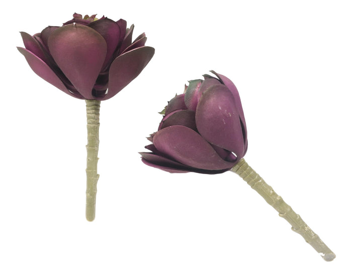 Ebros Gift Pack Of 6 Realistic Lifelike Artificial Zwartkop Succulent Stem Botanicas