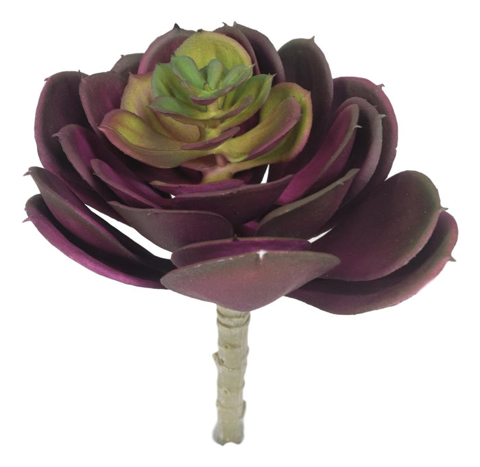 ebros gift Pack Of 6 Realistic Lifelike Artificial Zwartkop Succulent Stem Botanicas