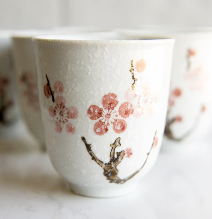 ebros gift Pack Of 6 Textured Pink Japanese Sakura Cherry Blossoms Ceramic Tea Cups Teacups
