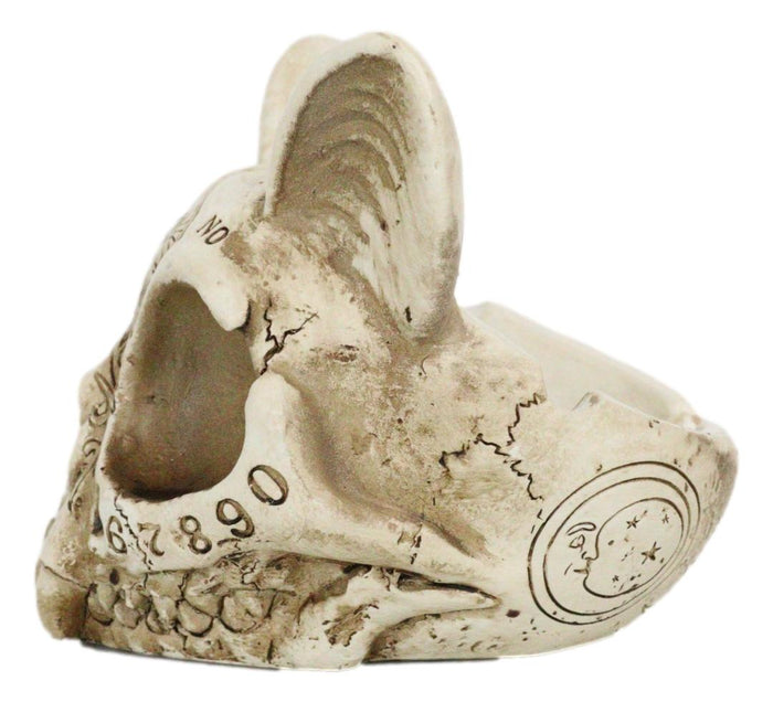 Ebros Gift Paranormal Ouija Spirit Medium Cat Skull Ashtray Figurine Supernatural Occultist