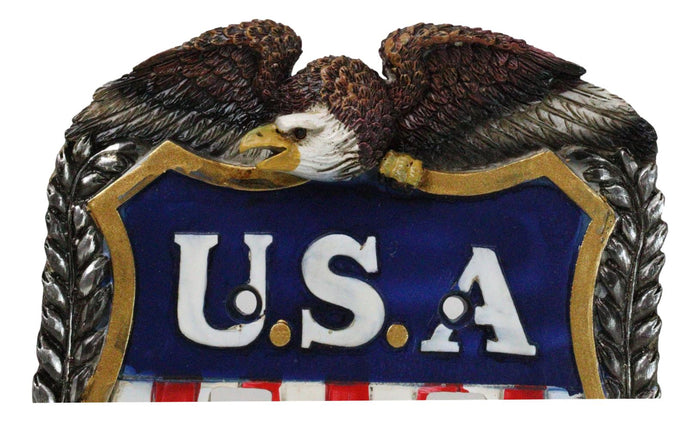 Ebros Gift Patriotic Bald Eagle On USA Flag Crest Wall Double Toggle Switch Plates Set