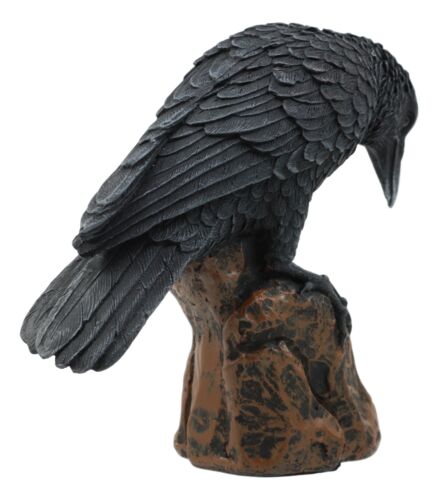 Ebros Gift Perching Raven On Rock Statue 5" Tall Gothic Crow Scavenger Bird Decor Figurine