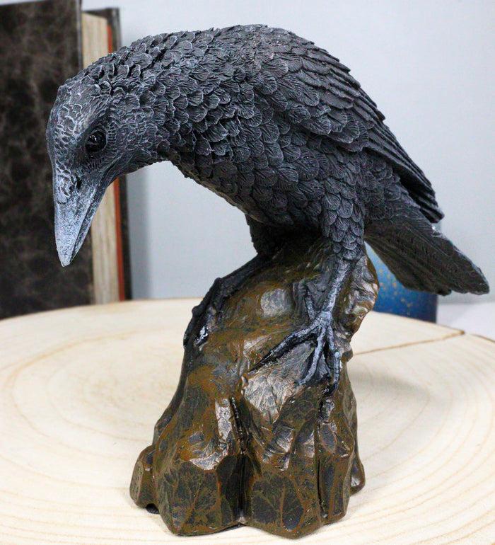 ebros gift Perching Raven On Rock Statue 5" Tall Gothic Crow Scavenger Bird Decor Figurine