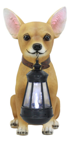 Ebros Gift Picante Mexican Chihuahua Dog Decor Path Lighter Statue With Solar LED Lantern