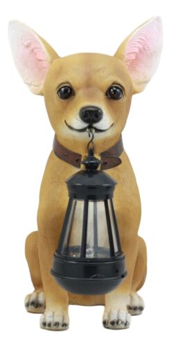 Ebros Gift Picante Mexican Chihuahua Dog Decor Path Lighter Statue With Solar LED Lantern