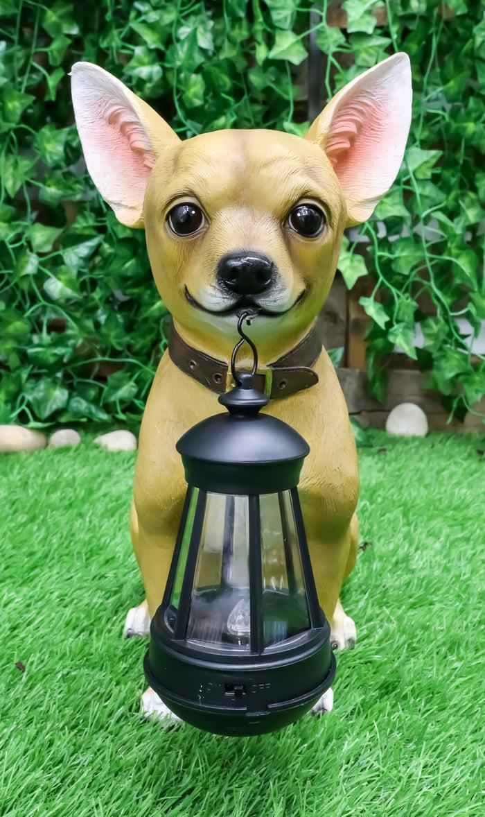 ebros gift Picante Mexican Chihuahua Dog Decor Path Lighter Statue With Solar LED Lantern