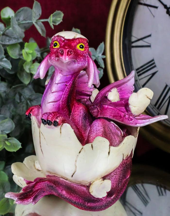 ebros gift Puzzled Red Dragon Baby In Egg Figurine 3.25"H Dragon Hatchling Fossil Egg Decor