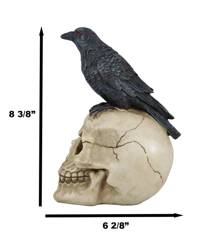 Ebros Gift Quoth The Raven Nevermore Black Crow With Red Eyes On Macabre Skull Figurine