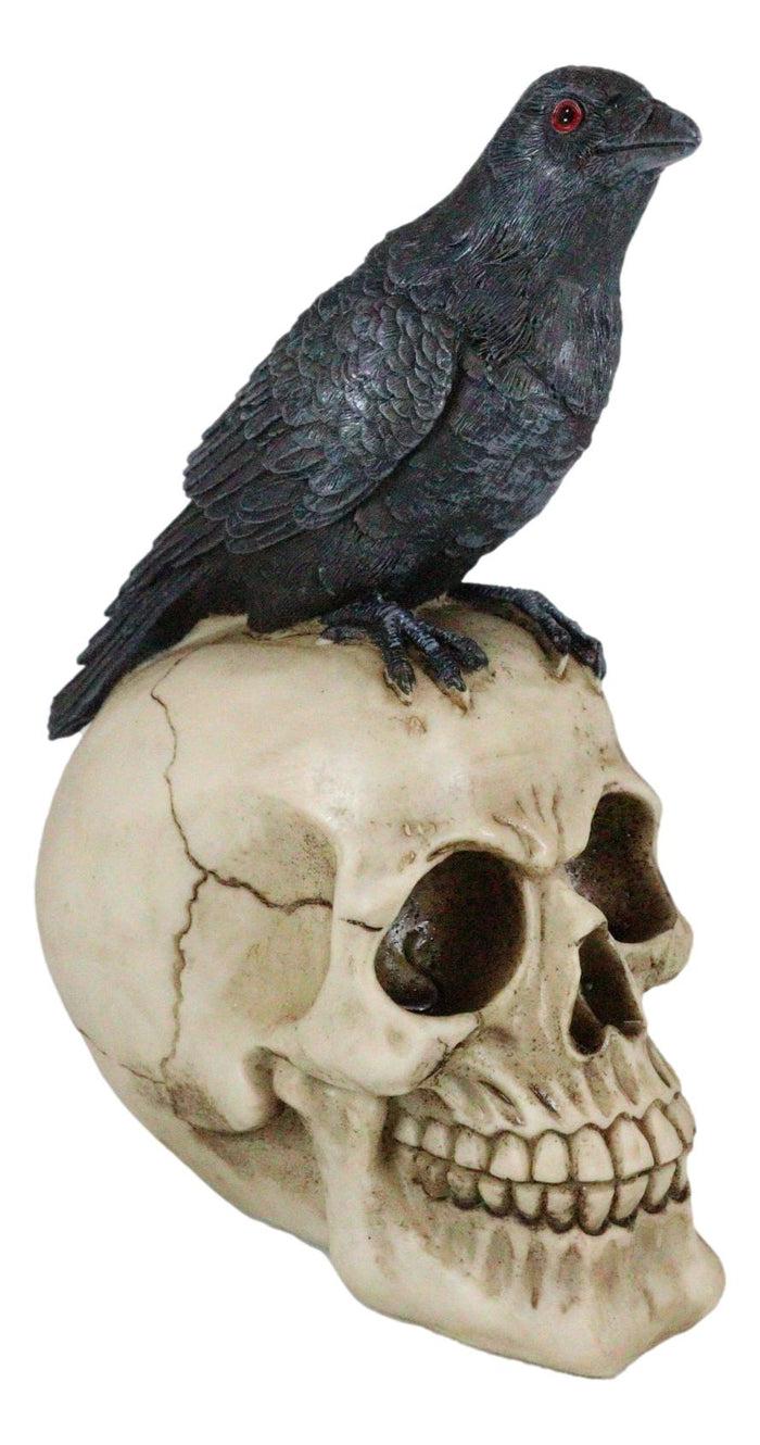 Ebros Gift Quoth The Raven Nevermore Black Crow With Red Eyes On Macabre Skull Figurine