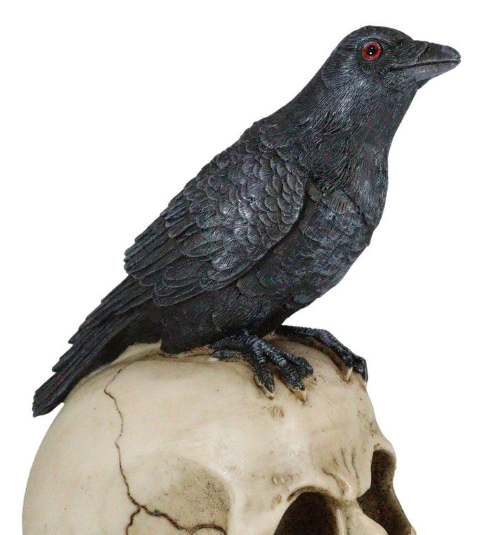 Ebros Gift Quoth The Raven Nevermore Black Crow With Red Eyes On Macabre Skull Figurine