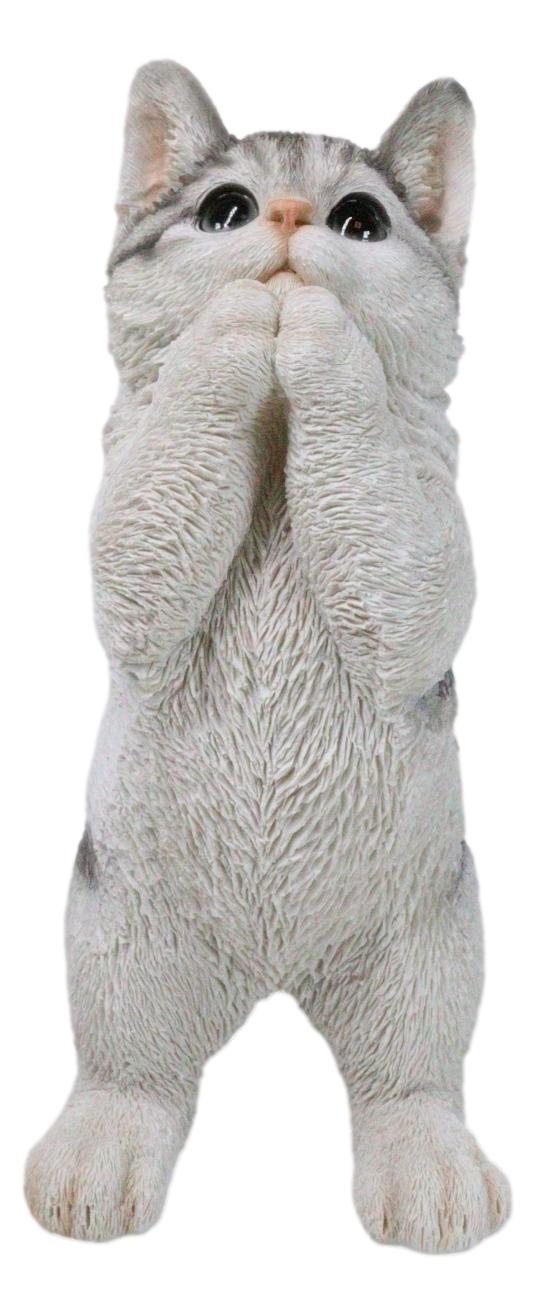 Ebros Gift Realistic Begging Feline Shorthair Calico Cat Kitten Figurine With Glass Eyes