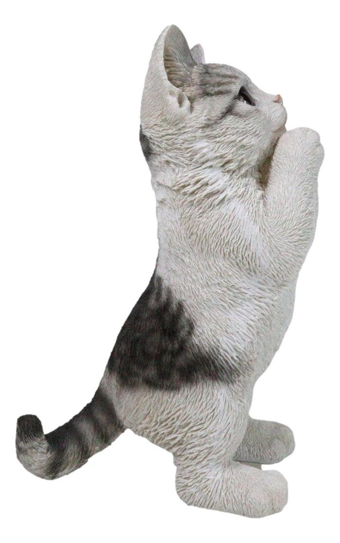 Ebros Gift Realistic Begging Feline Shorthair Calico Cat Kitten Figurine With Glass Eyes