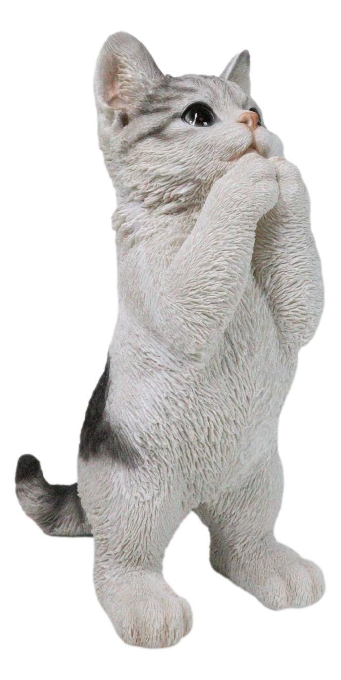 ebros gift Realistic Begging Feline Shorthair Calico Cat Kitten Figurine With Glass Eyes
