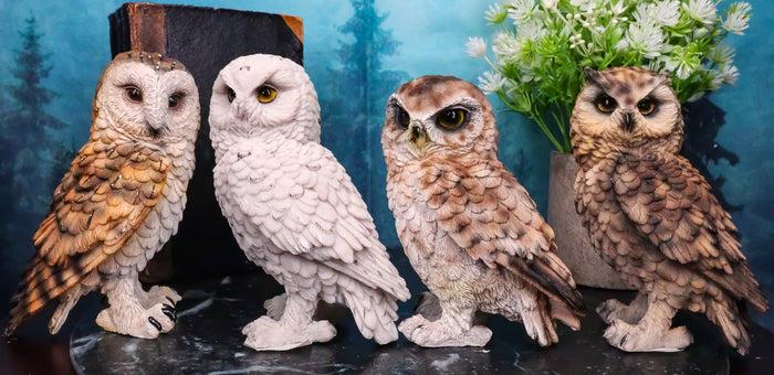 Ebros Gift Realistic Colorful Nocturnal Snowy Barn Great Horned Owl Birds Figurine Set Of 4